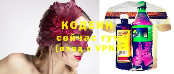 кокс Гусев